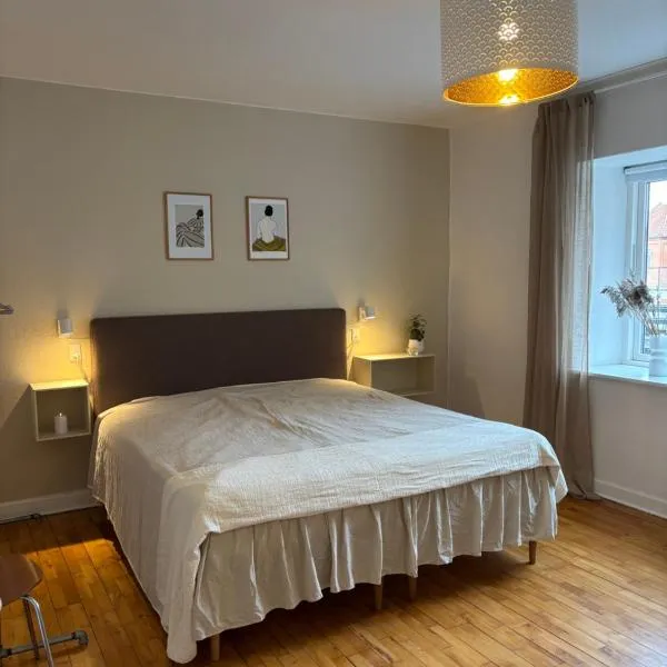 Vejle Liv, hotel v destinaci Vejle