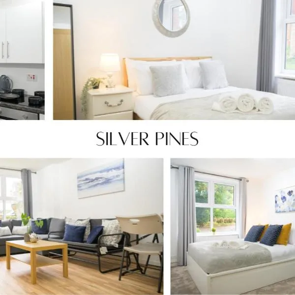 Silver Pines King bed 2 BR apartment, hotel v Manchesteru