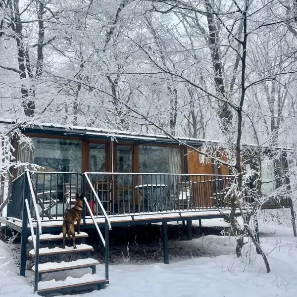Nina's winery forest house in Kiketi, hotel in Tbilisi City