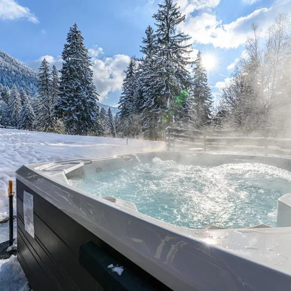 Hotel Casa Viorel jacuzzi & saunas, hotel v destinaci Poiana Brašov