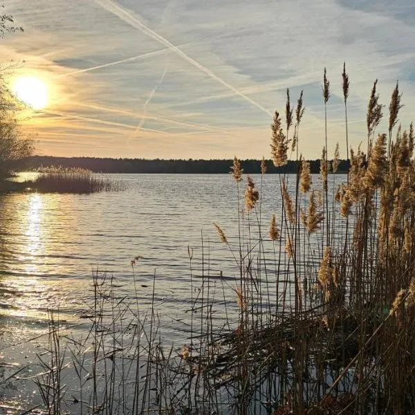 SeenSucht & Urlaubsträume, Ferienwohnung "Seestern", hotel v destinaci Großräschen