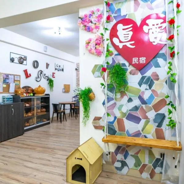 真愛民宿-寵物友善-近東大門夜市-含車位, hotel in Hualien City