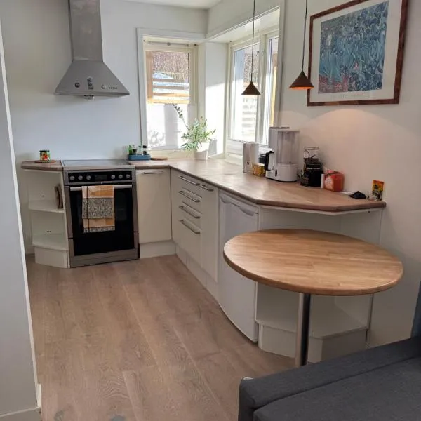 Studio Drammen, hotel v destinaci Drammen