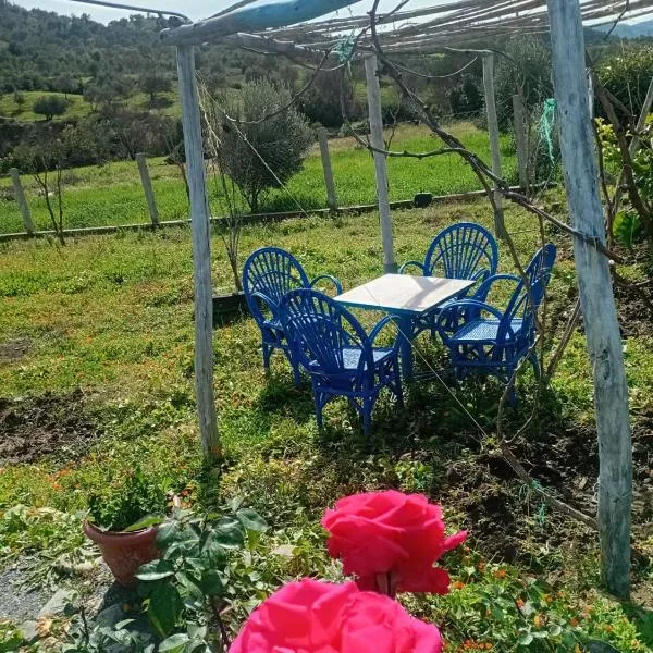 Dar zitouna, מלון בשפשאוון