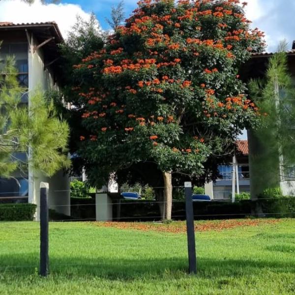 Flat em Gravatá - Fazenda Monte Castelo - quarto superior com Wi-Fi e netflix - Foto 2