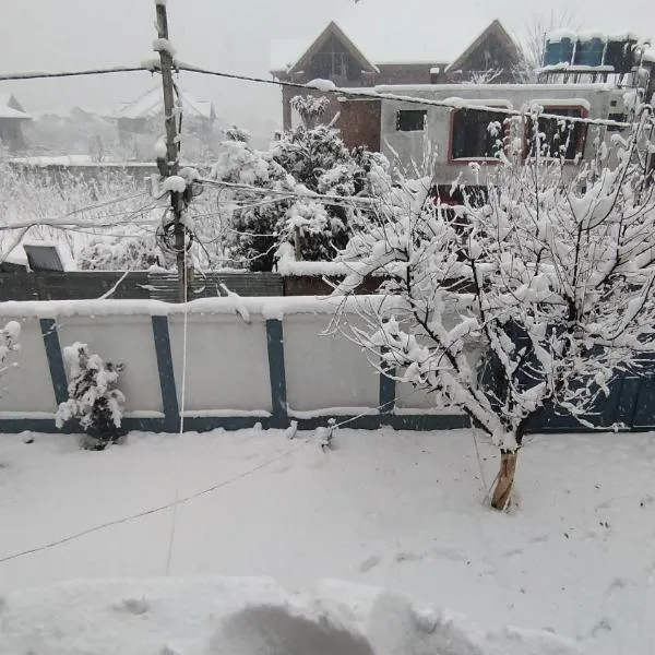 The Vintage Kashmir Homestay, hotel en Srinagar