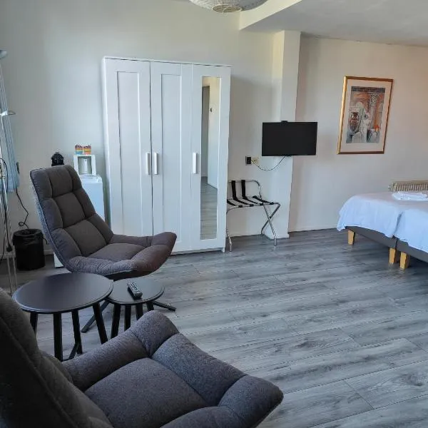 Hotel Saint Vincent, hotel in Poeldijk