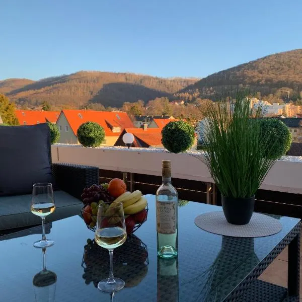 Bergliebe 6 mit großer Terrasse, Tiefgarage & Lift, hotel in Bad Harzburg