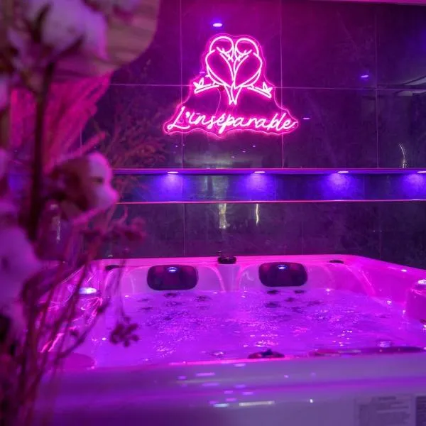 L'Inséparable - Jacuzzi - Terrasse - Parking - Vélos, hotel v destinaci Fondettes