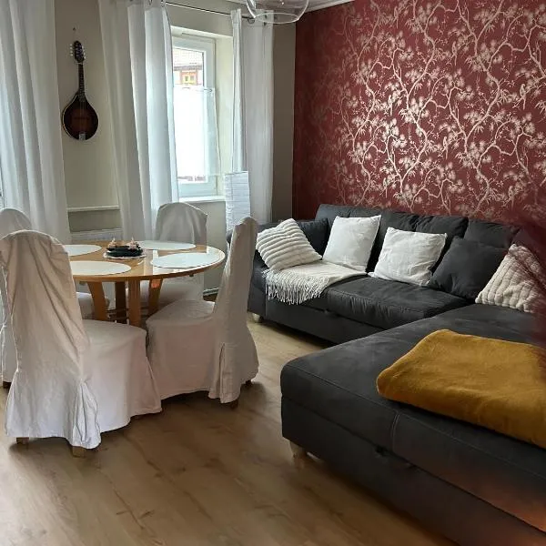 Brocken-Bennos Fachwerkhaus，韋尼格羅德的飯店