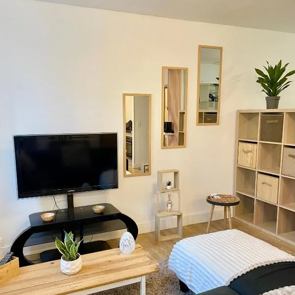Grand studio Ô Joie, hotel in Auxerre