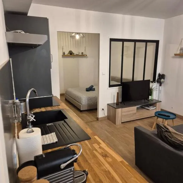 T2 moderne hypercentre 40m2, au pied de la cathédrale, hotel ad Auch