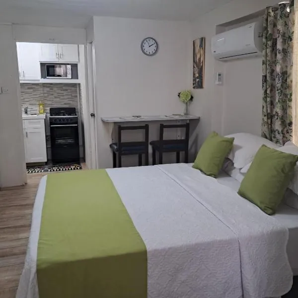 Michand Guest Apartments- Cozy one or two bedroom- 5 walk minutes from airport 10 mins drive to Oistins or beach, hotel sa Christ Church