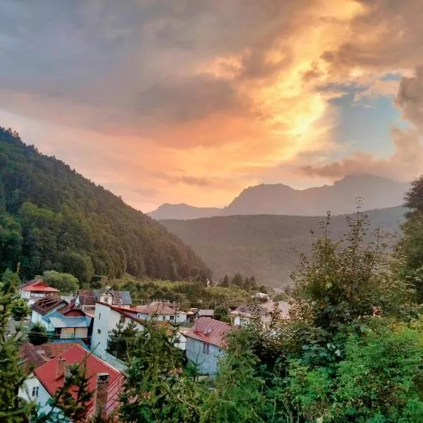 Doi Iepuri, hotel di Azuga