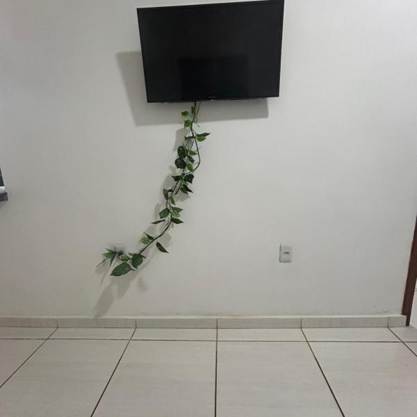 Casa verde - Foto 5