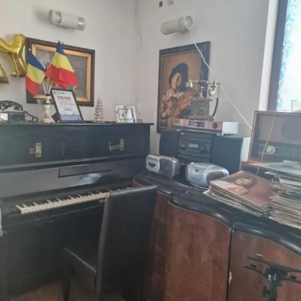 Salonul de Folk&Blues!, hotel in Sohodol