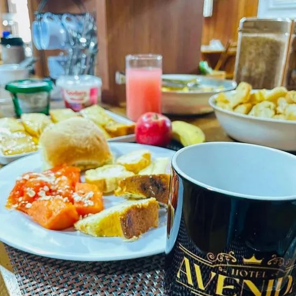 Hotel Avenida, hotel v destinaci Nova Friburgo