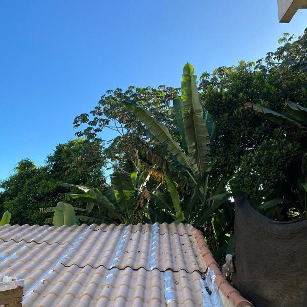 A Jomunidade