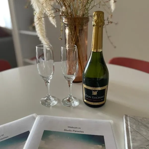 Studio Paradiso, khách sạn ở Oostende