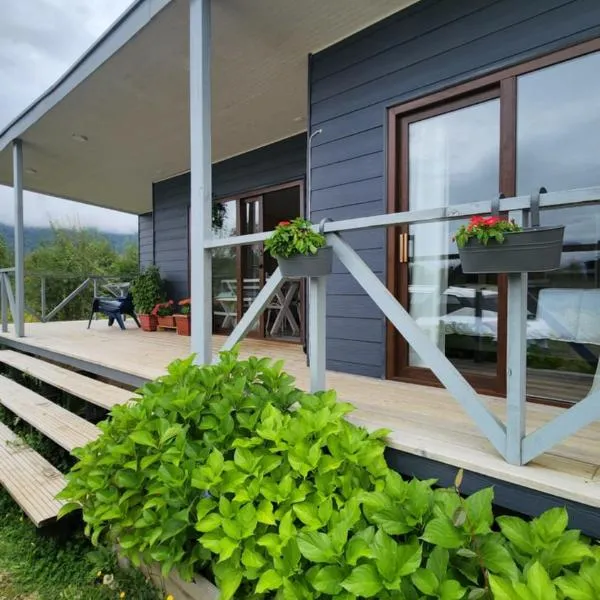 Cabañas Parque Chaqueihua: Hornopiren'de bir otel
