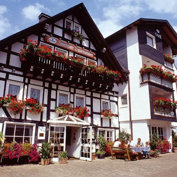 Pension Zueschener Bauernstuben, отель в городе Dachsloch