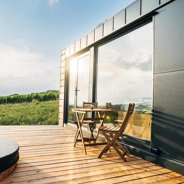 Timmy house, hotel a Lipov