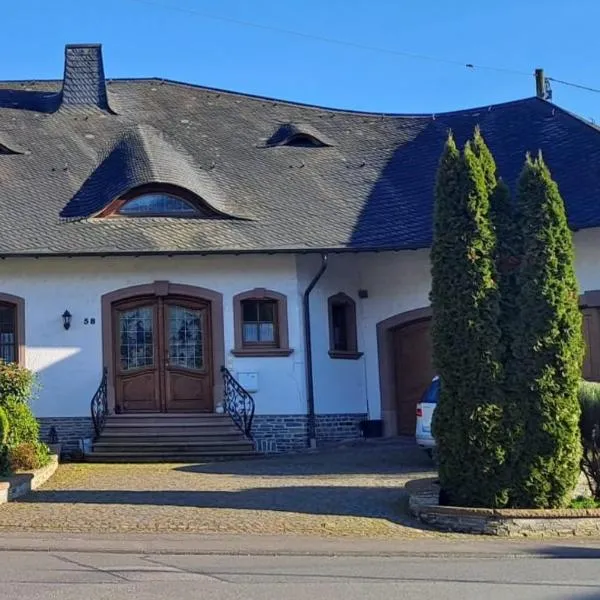 Pension Birgit Pazen, hotel v destinaci Zeltingen-Rachtig