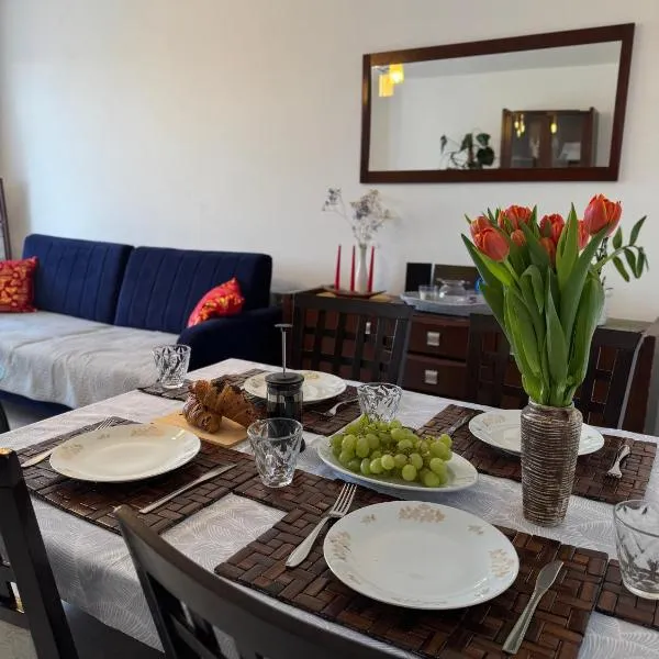Apartament -Jak w domu- Czeladź 60m2 Centrum Katowic 10km, hotel v destinaci Czeladź