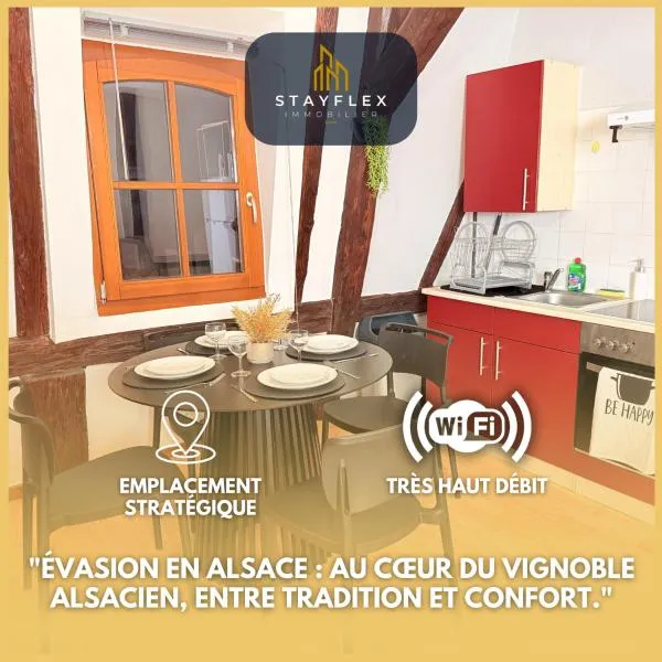 Le Cocon Alsacien au cœur de Rouffach, hotel in Rouffach