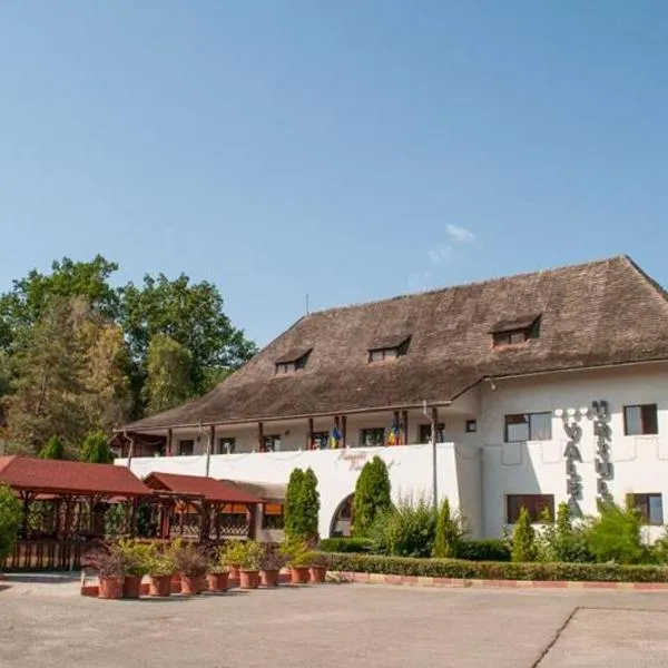 Pensiunea Valea Ursului, hotel in Budeasa Mică