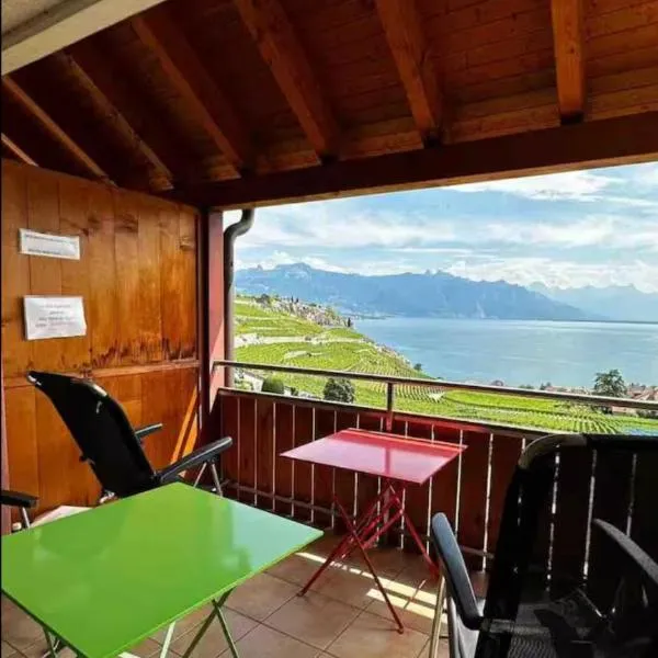 Lavaux nice place in Swiss French part、Rivazのホテル