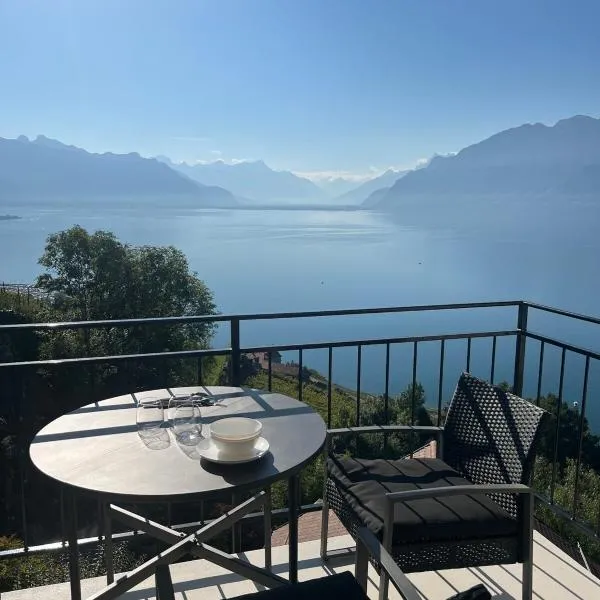 The Nest Lavaux、Saint-Saphorinのホテル