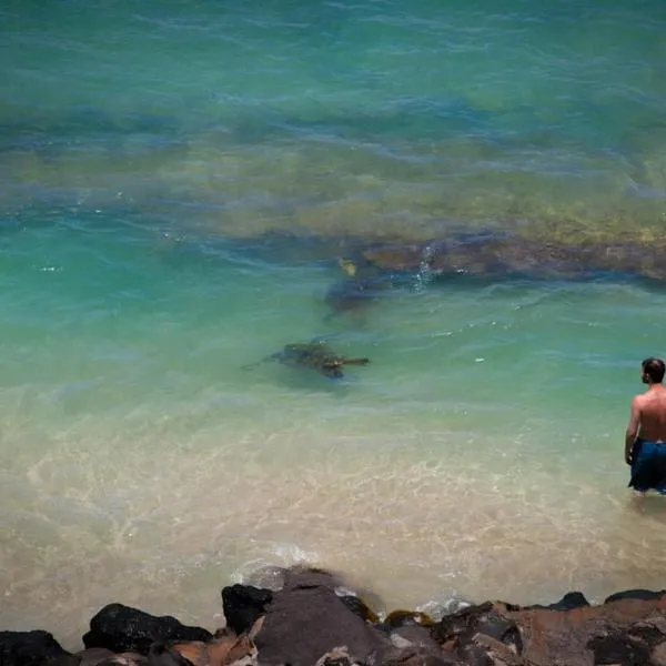 Yonegan Central Maui Getaways, hotel v destinaci Wailuku