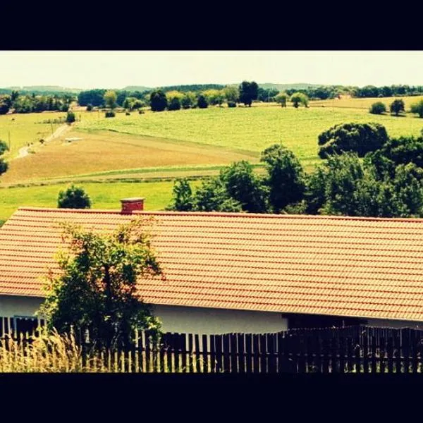 Country house - Slapy/Pazderny, hotell i Štětkovice