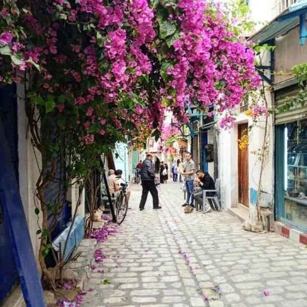 Dar Maram Tunis, hotel v destinaci Tunis