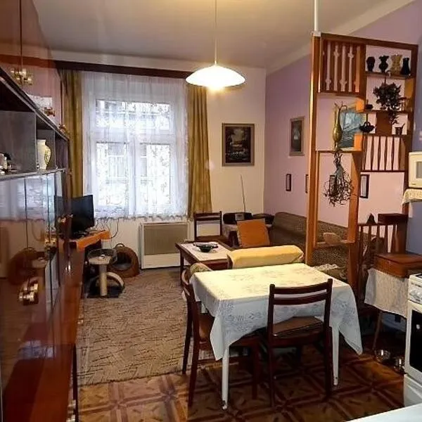 Flat in the heart of Decin close to via ferrata, hotel in Podmokly