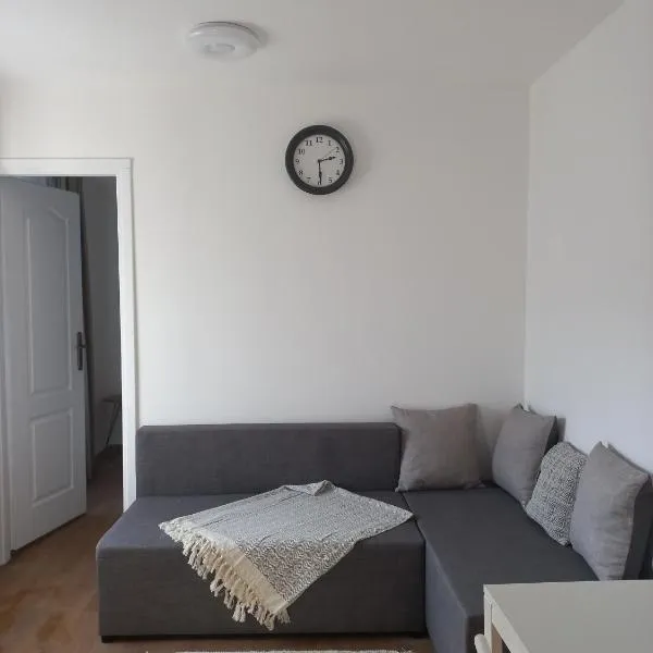 Сјајни лешник, hotel in Zrenjanin