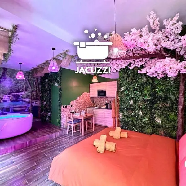 Narbnb - JUNGLE SUITE - Jacuzzi - Centre - Clim, hotel in Narbonne