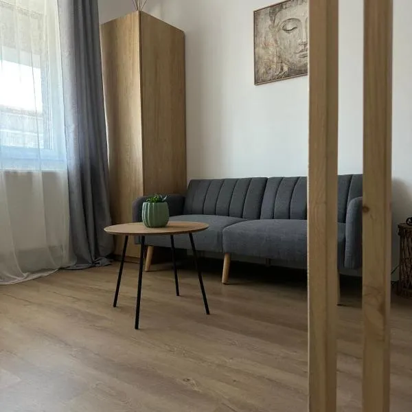 Studio Palm, hotel v destinaci Popeşti-Leordeni