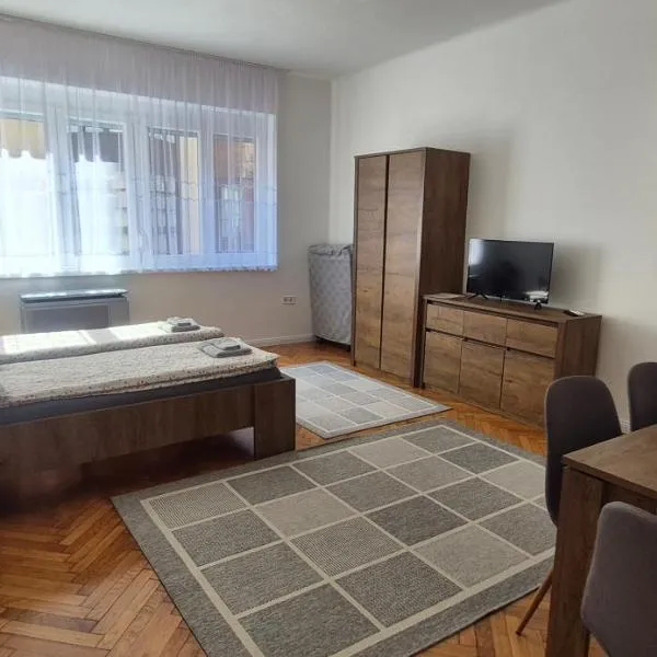 Downtown Studio Apartman, hotel in Pécs