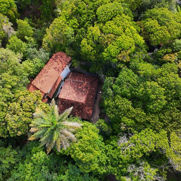 Vila Coco Dendê - Praia de Algodões - Foto 4