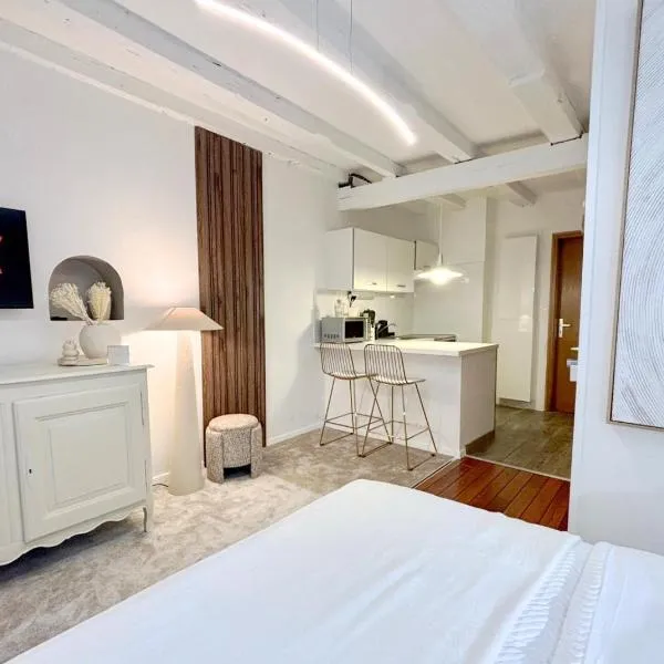 Studio de standing en hyper centre, hotel ve Štrasburku