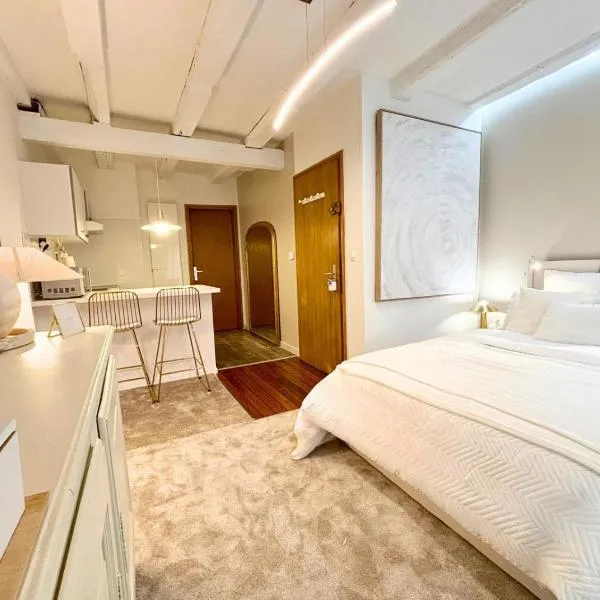 Studio de standing en hyper centre, hotel di Strasbourg