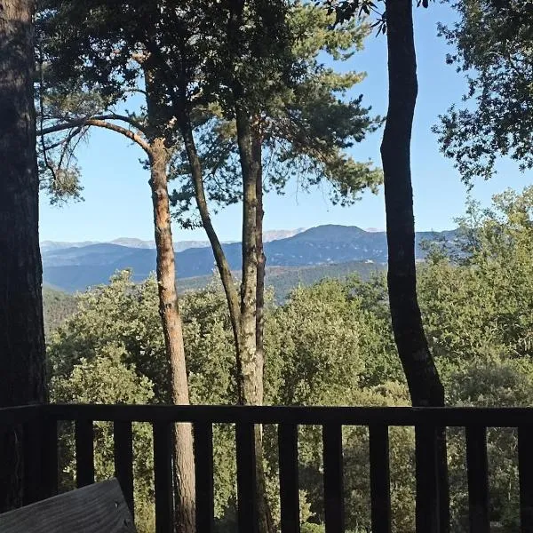 Cabaña con vistas en Mas Coguleras, hotel in Sant Jaume de Llierca