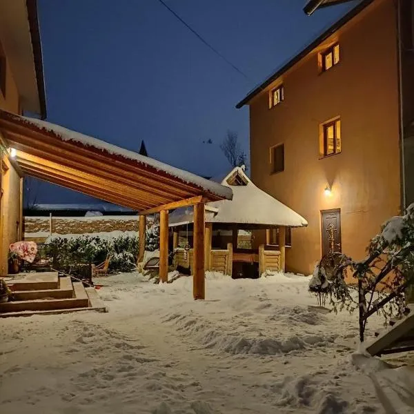 Guest House Mandrivnyi Rooms&Apartments, hotel v destinaci Jasiňa