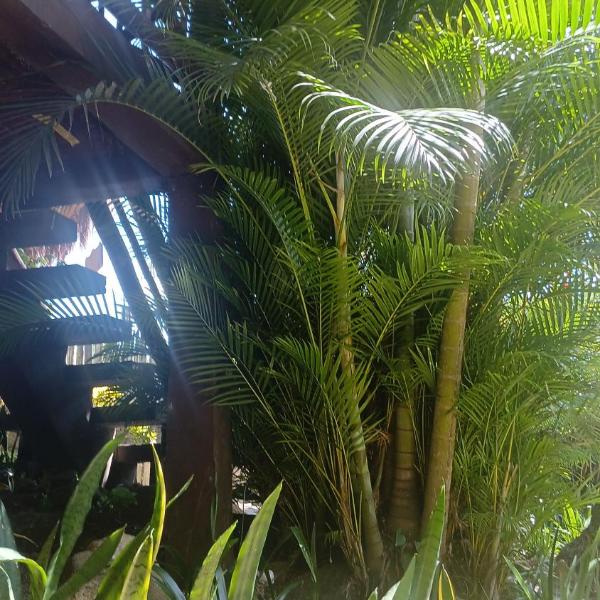 Gust Hause Ilhabela - Foto 3