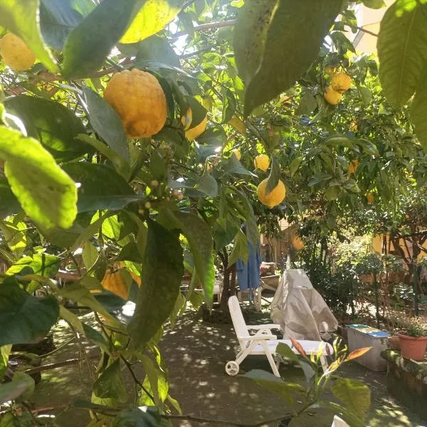 Il giardino nascosto, hotel v Neapoli