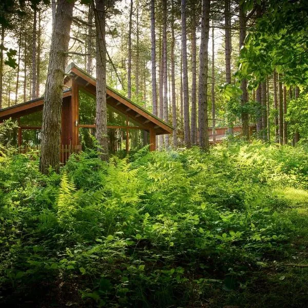Blackwood Forest Cabins - Forest Holidays, hotel in Popham