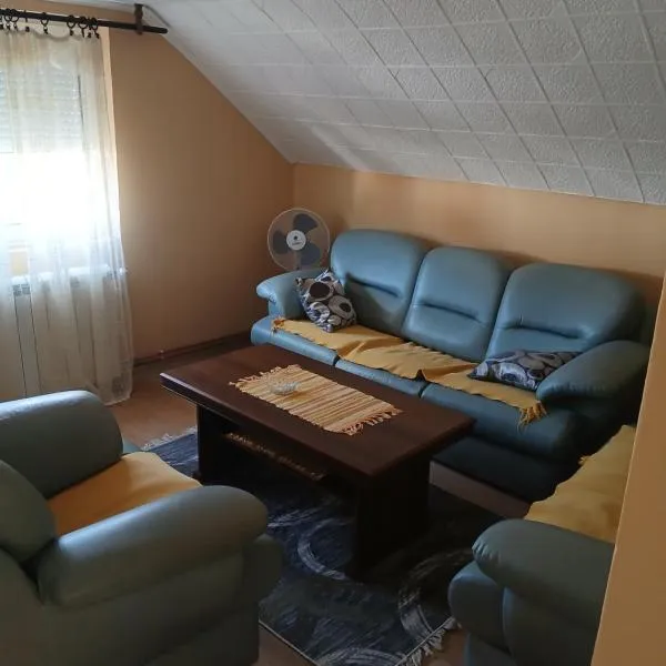 Kovačević apartman, hotel v destinaci Bajina Bašta