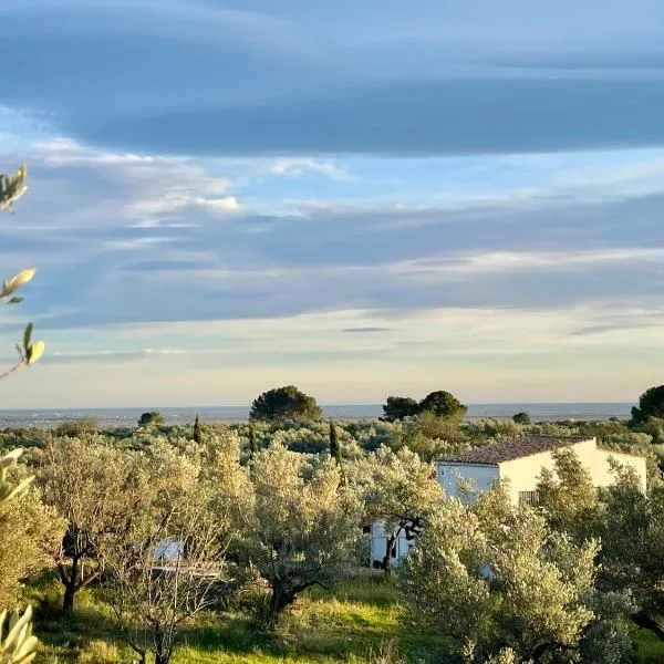 Can Mimosa, hotel in Tortosa